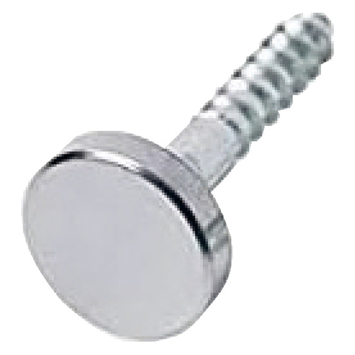 MIRROR SCREW+FLAT CAP PCP x200