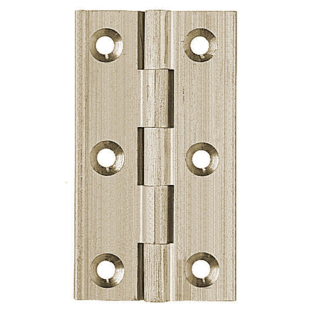 BROAD HINGE 51x29x2 BRS/SNP