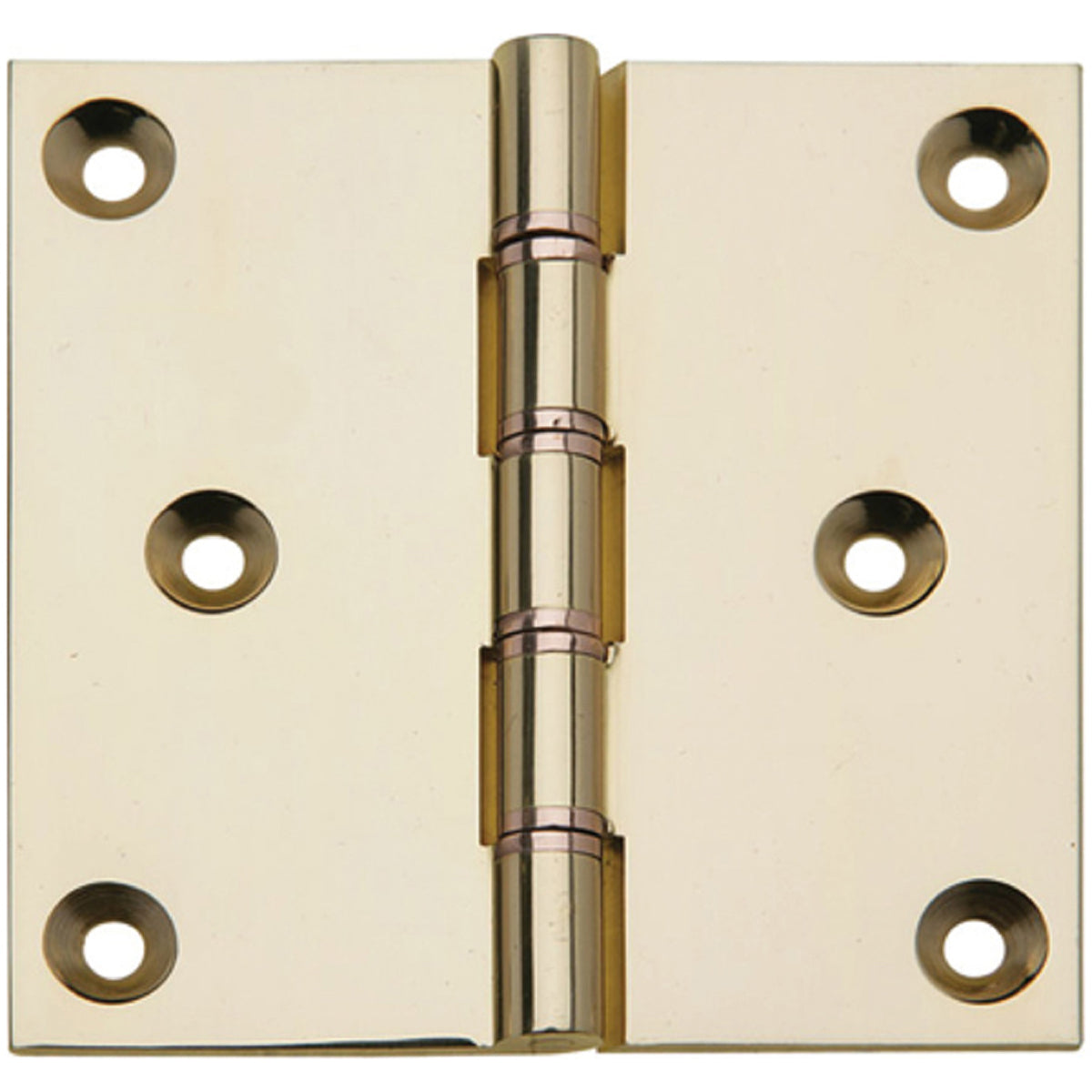 DPBW PROJ BUTT HINGE 76x76 BRS/SCP
