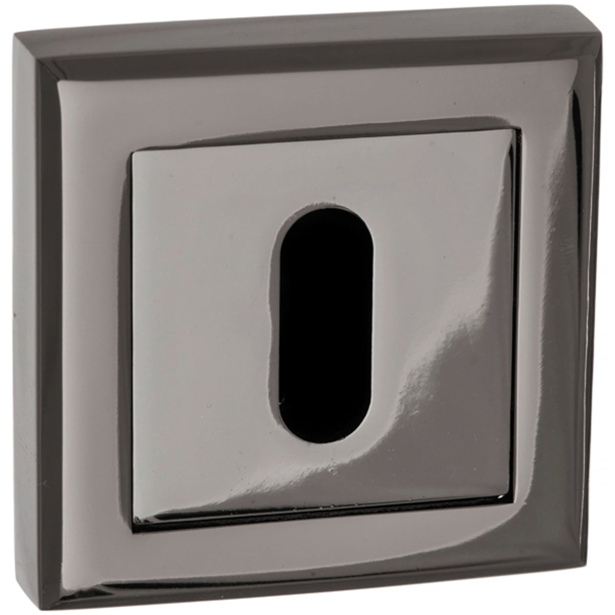STATUS KEY ESCUTCHEON 51x10 BKN
