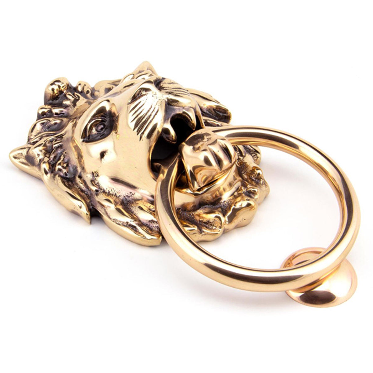 DOOR KNOCKER LION'S HEAD 170x130x65 PBZ