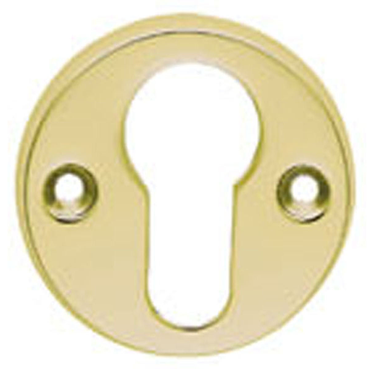 CLAS EURO ESCUTCHEON D45x8 PBR AA145 by CARLISLE BRASS