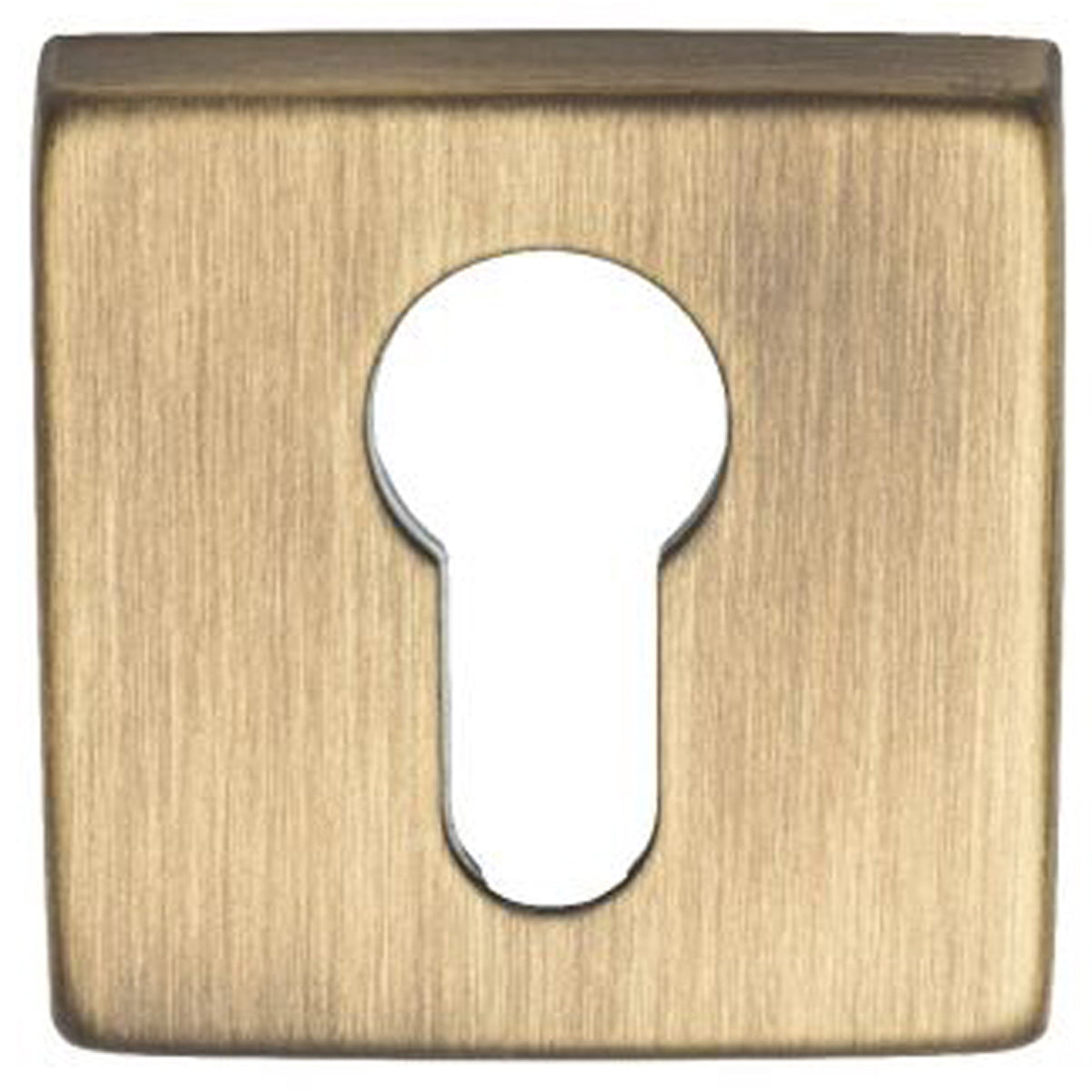 MANITAL EURO ESCUTCHEON 51x51 ABR QE001AB by CARLISLE BRASS