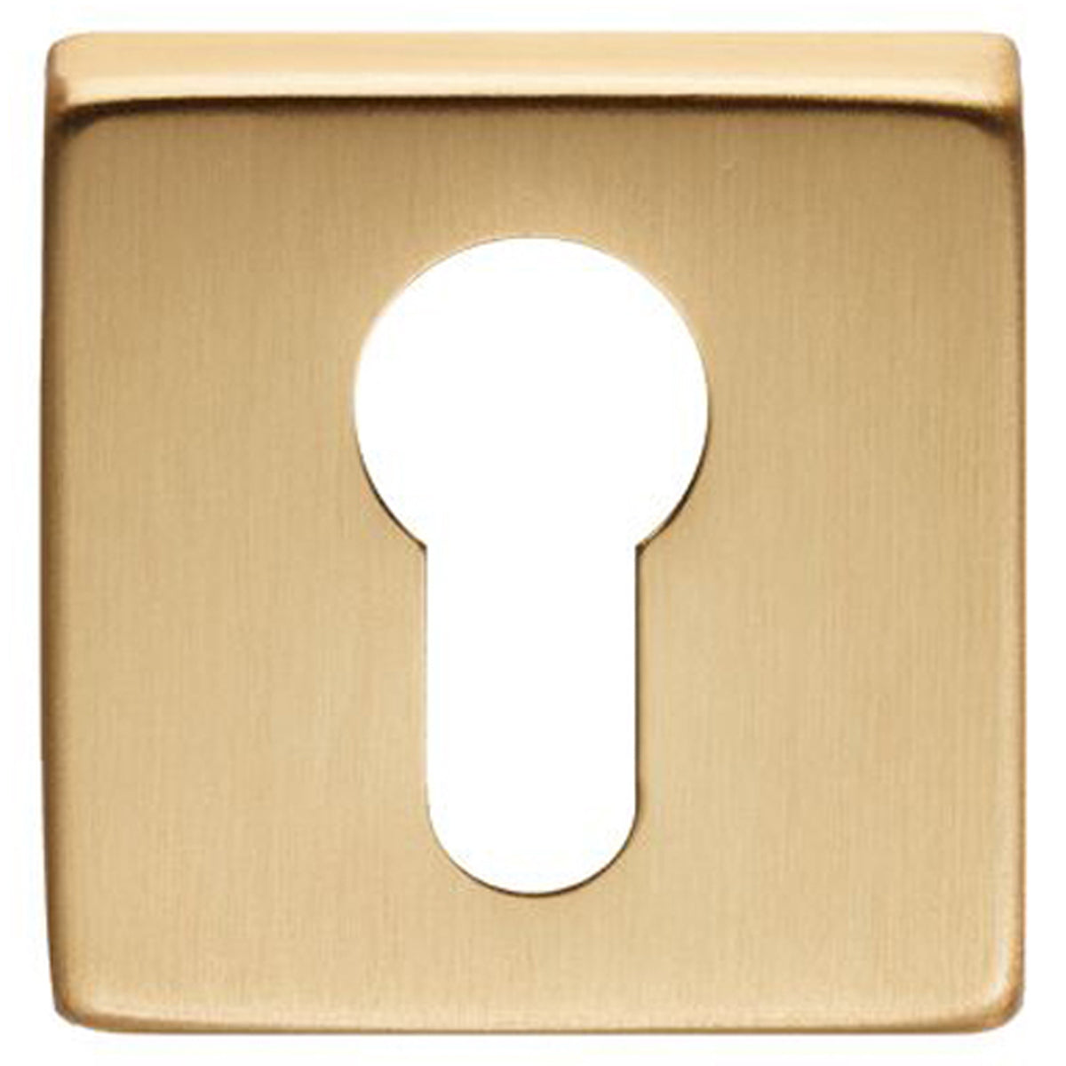 MANITAL EURO ESCUTCHEON 51x51 SBR QE001SB by CARLISLE BRASS