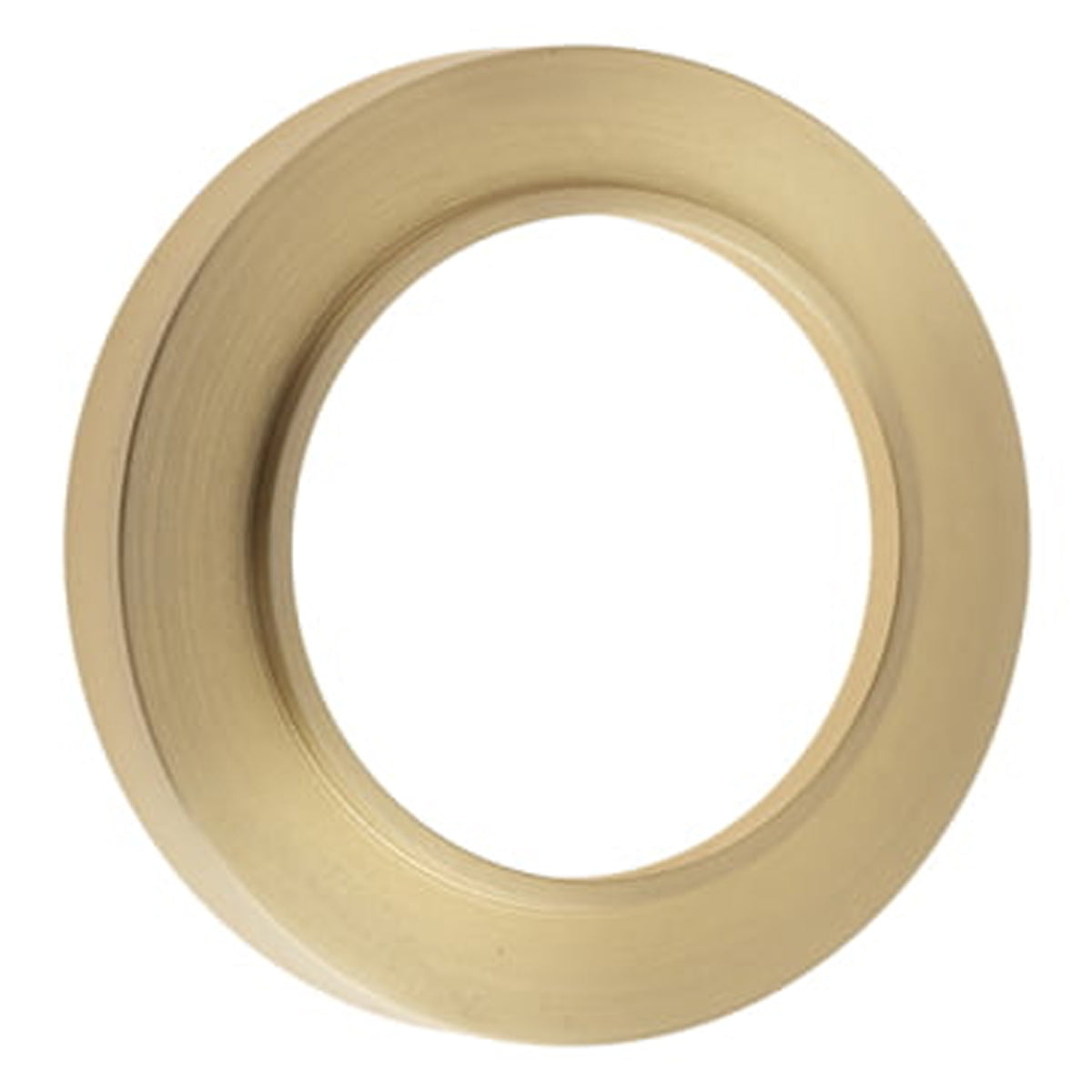 BRL ESCUTCHEON OUTER PLAIN D53 SBR
