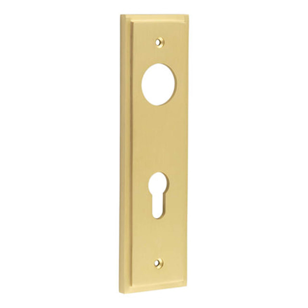 BURLINGTON II LEVER PLATE DIN EURO 72CC 200x55x10 SBR