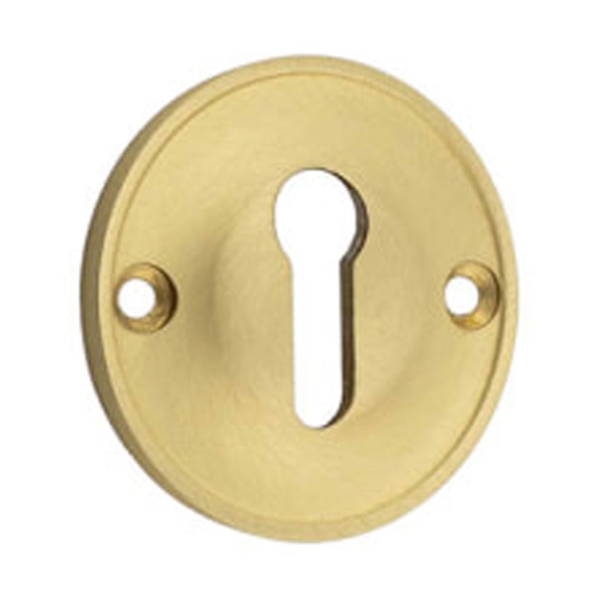 BURLINGTON ESCUTCHEON STD KEYWAY D40x6 SBR