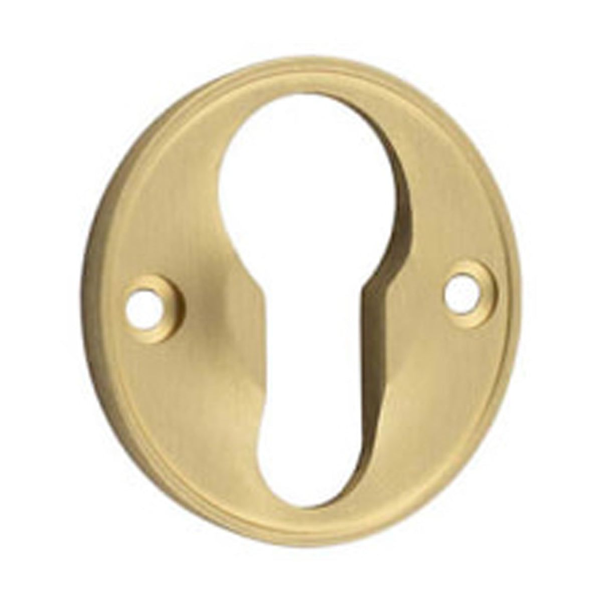 BURLINGTON ESCUTCHEON EURO PROFILE D40x6 SBR