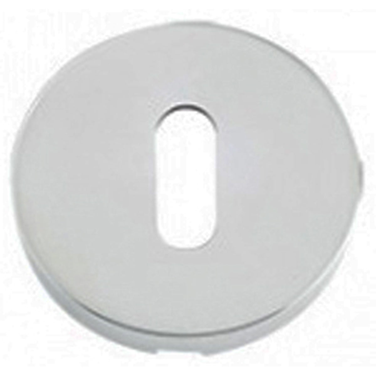 ZCS ESCUTCHEON D52.0 STD 304SS