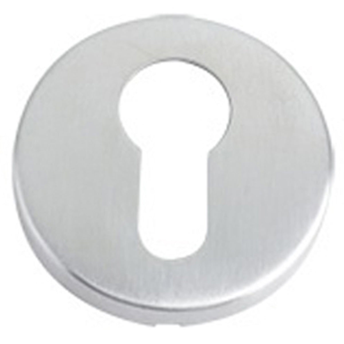 ZCS2 ESCUTCHEON D52.0 EURO 201SS