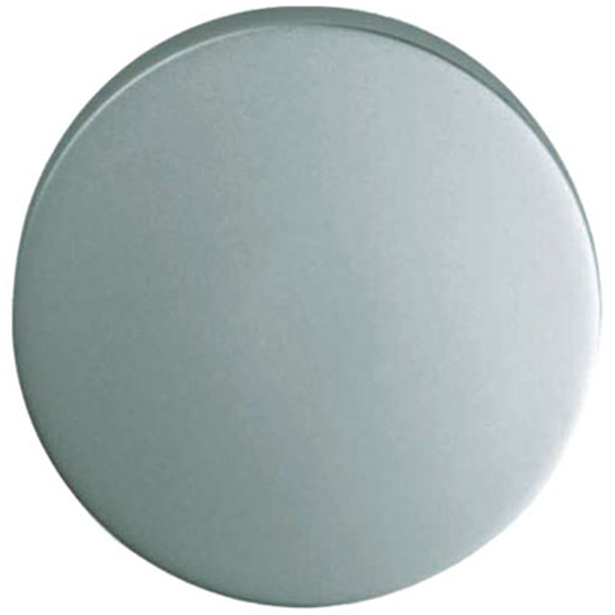 ESCUTCHEON BLANK PSS
