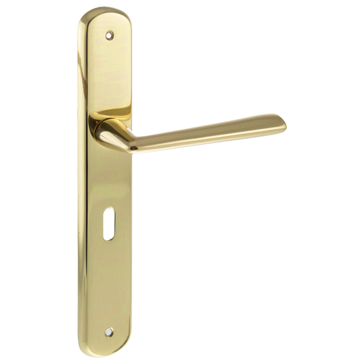 FORME BRIGITTE SOLID LEVER HANDLE KEY 246x120x40 BRS/PBR