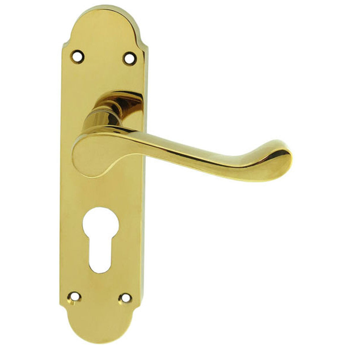 OAKLEY LEVER HANDLE EURO47.5 170x42 PBR DL168Y by CARLISLE BRASS