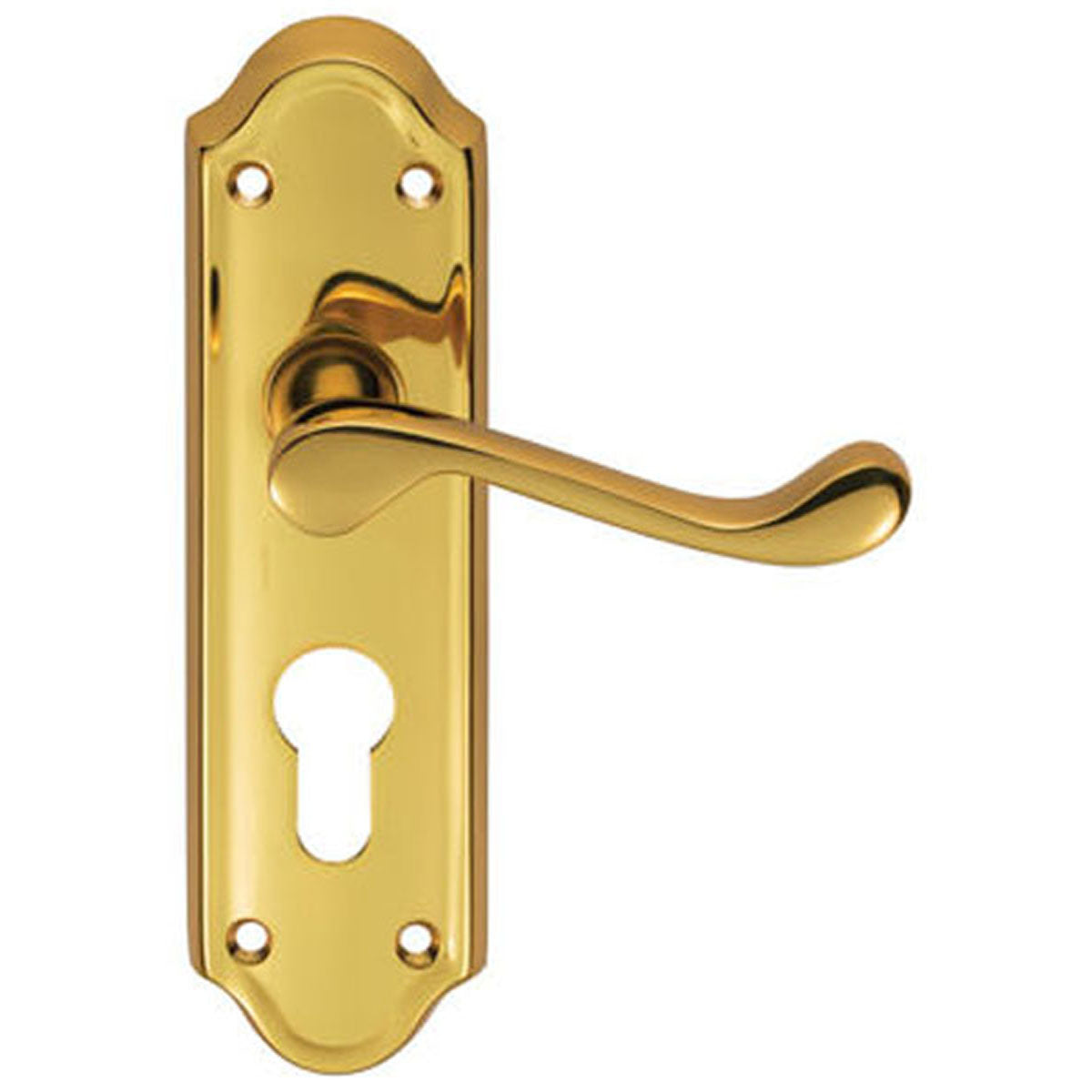 ASHTED LEVER HANDLE EURO47.5 168x47 PBR DL17Y by CARLISLE BRASS