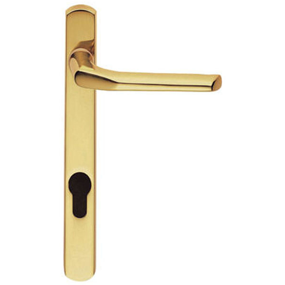 STRAIGHT LEVER HANDLE EURO 124HC PBR M86NP92 by CARLISLE BRASS