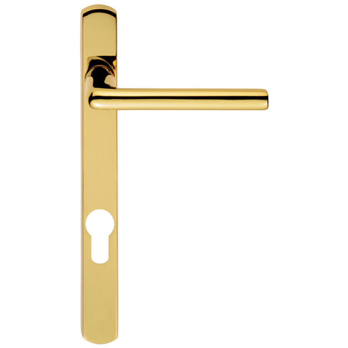 ROSA LEVER HANDLE EURO 124HC PVD SZS01NP92PVD by CARLISLE BRASS