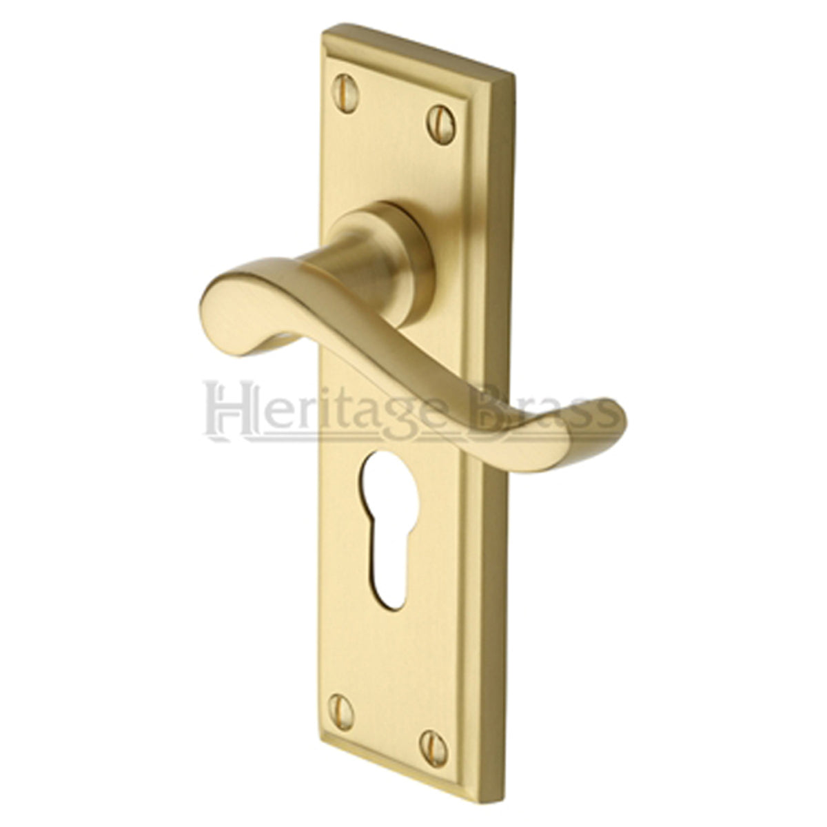 EDWARDIAN HANDLE EURO 49x153 SBR