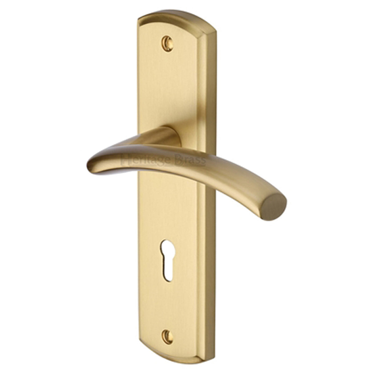 CENTAUR HANDLE LOCK 48x189 SBR