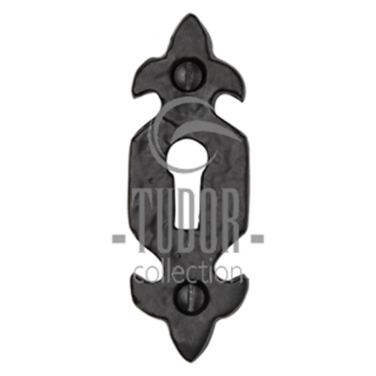 BLACK ESCUTCHEON FDL 28x79 IR/BLK