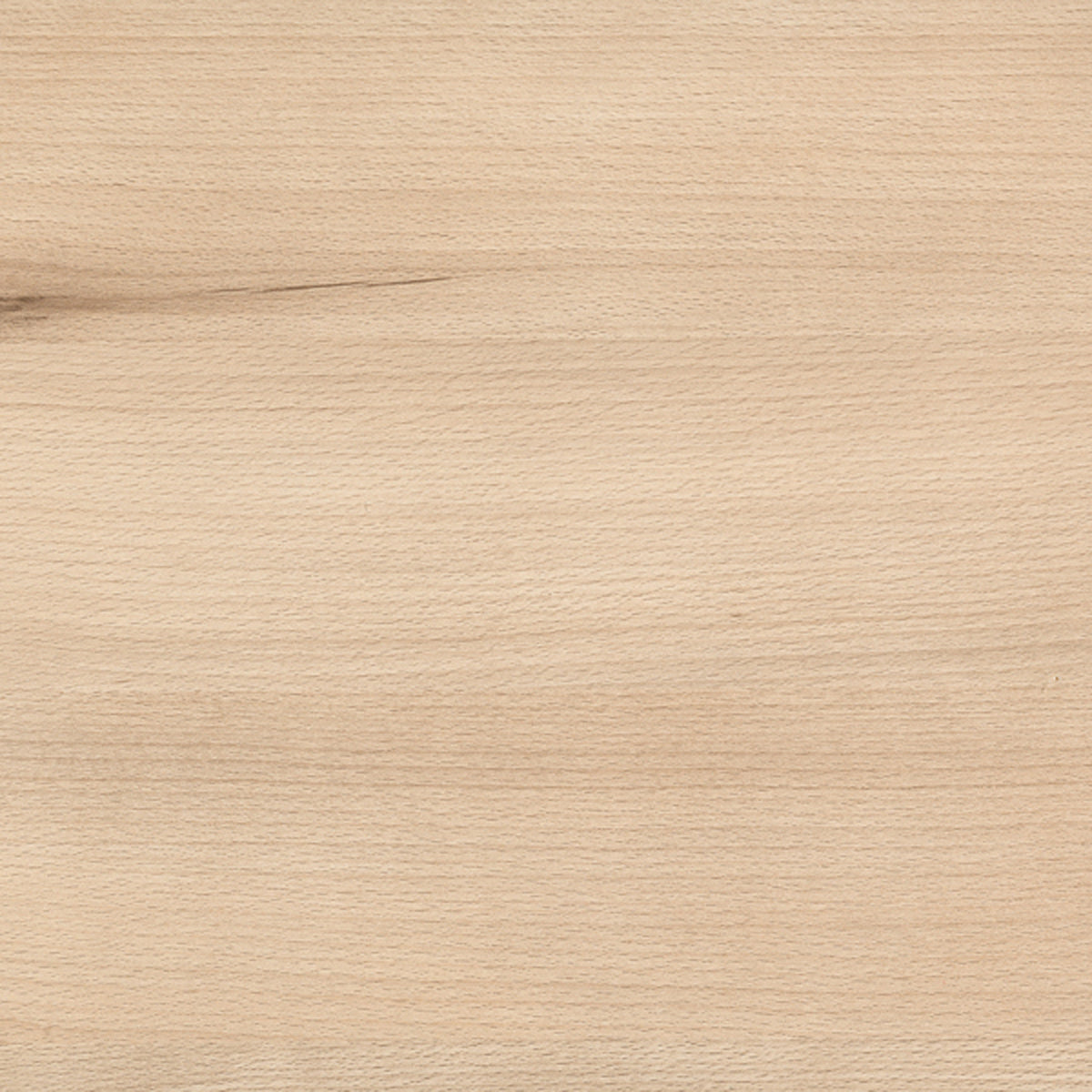 EDGING HM BEECH/LIGHT 22x100m