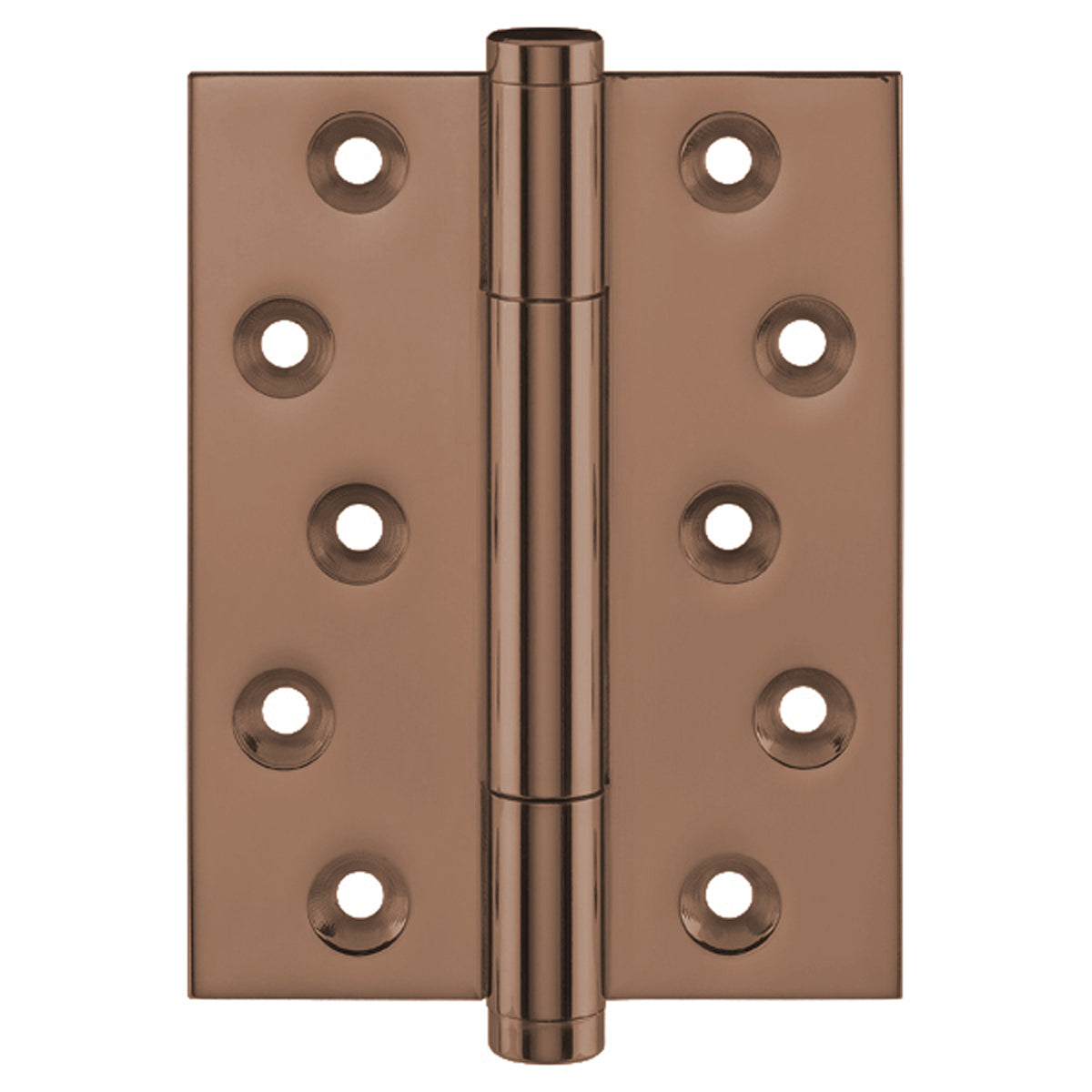 TRITECH CE BHINGE 100x75 BRS/BRZ