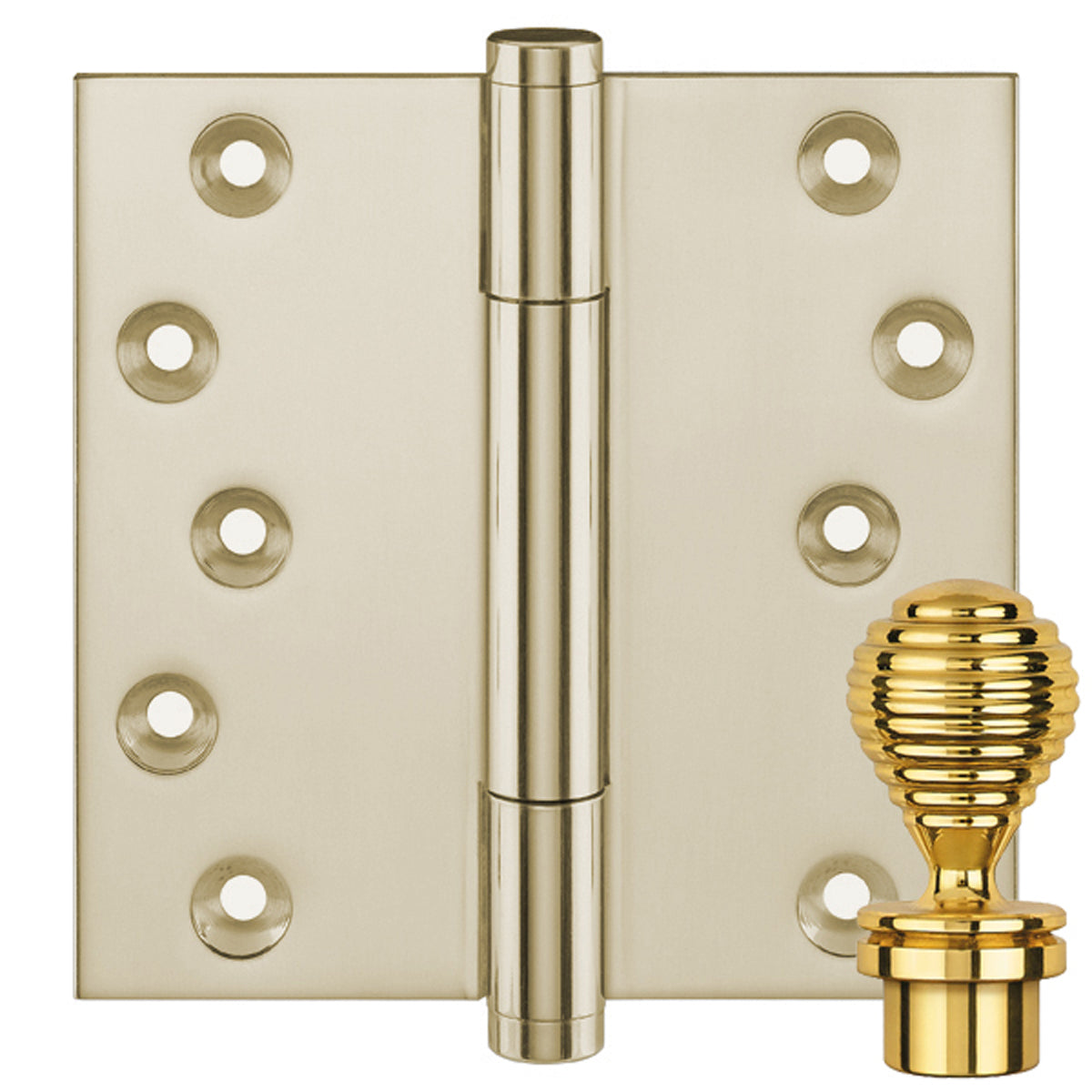 TRITECH CE PHINGE 100x100 ADAM/BNP