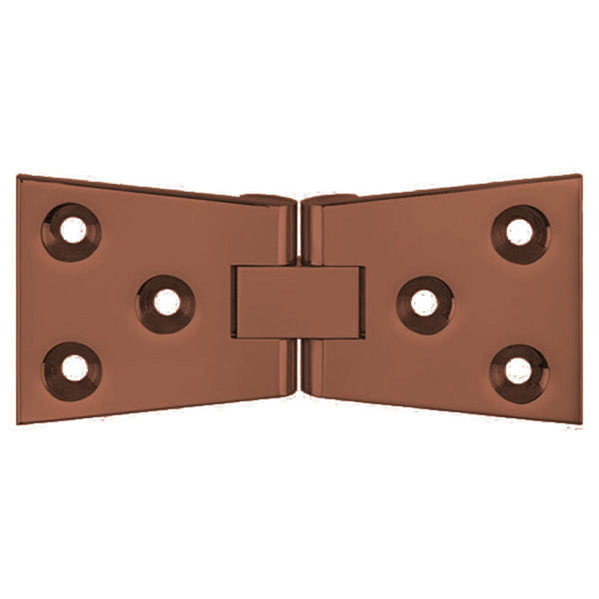 UNWASH CFLAP HINGE 25x076 BRS/CBZ