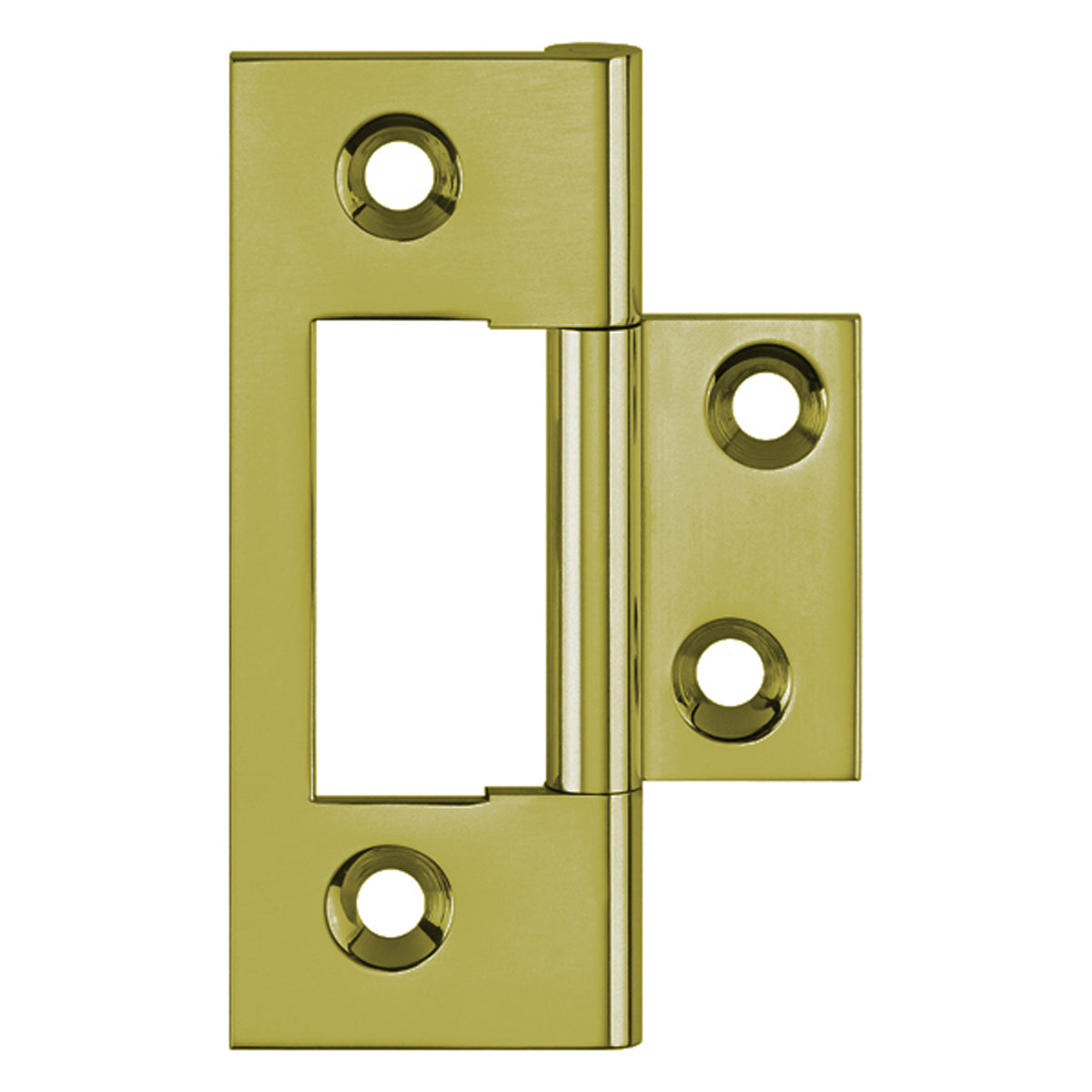 UNWASH FLUSH HINGE 51x22 BRS/SLF