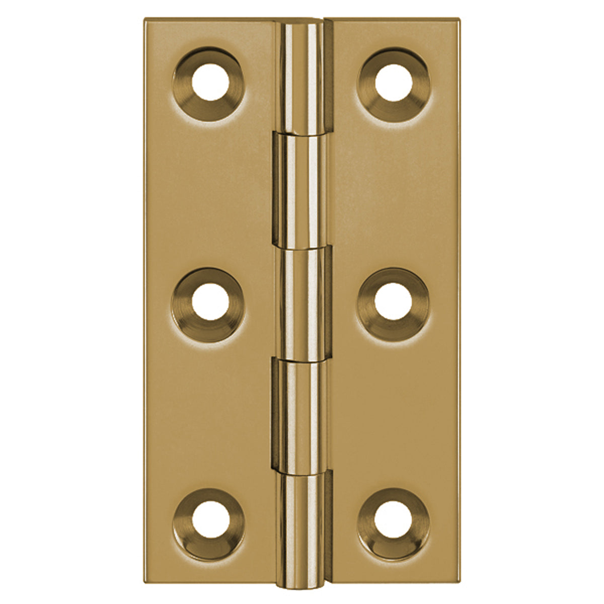 DPBW BUTT HINGE 100x65 BRS/AGB