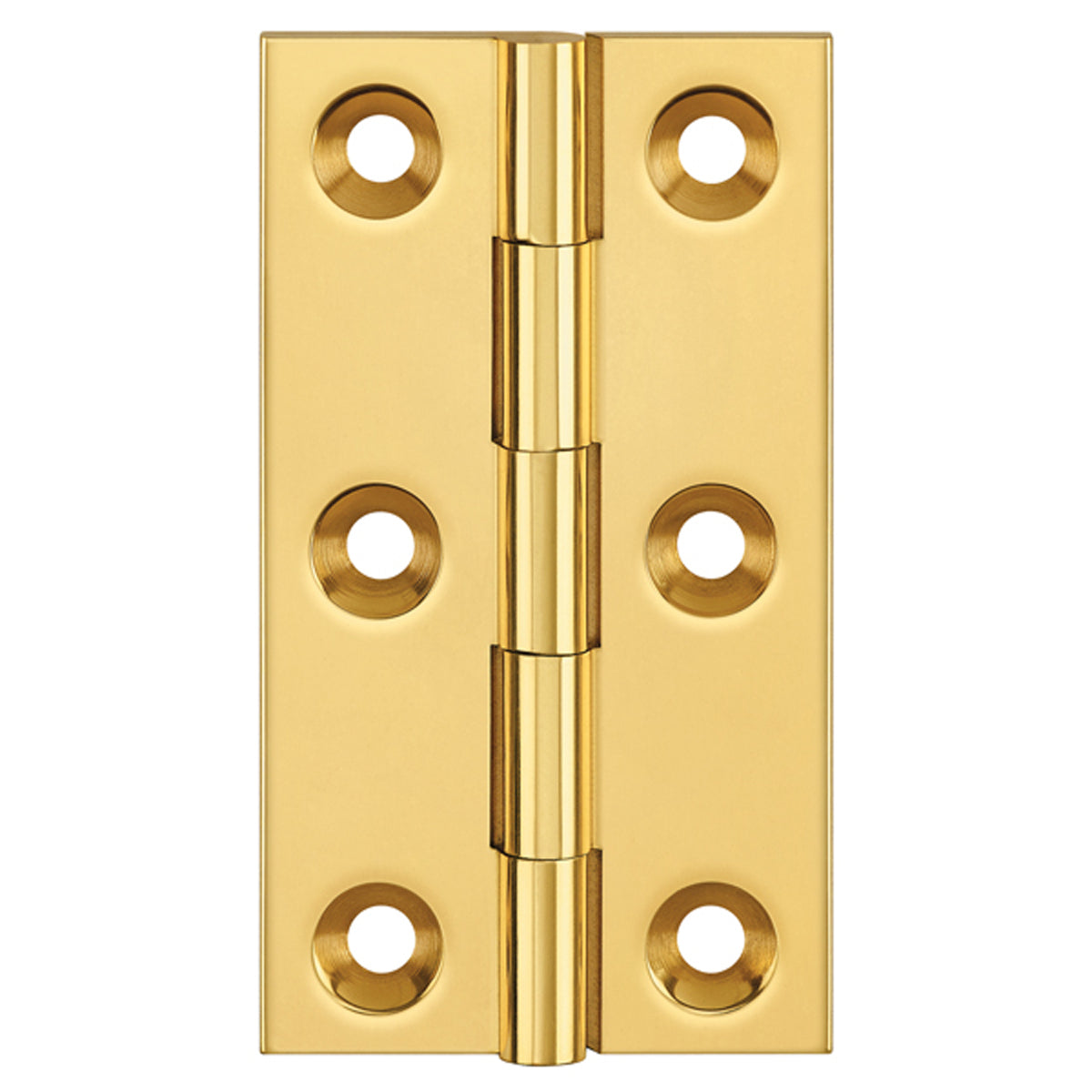 DPBW BUTT HINGE 100x65 BRS/PLB