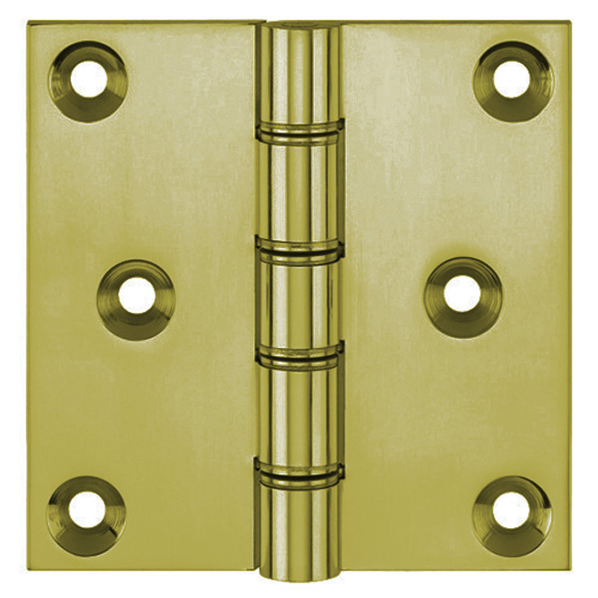 DPBW PROJ HINGE 076x075 BRS/SLF