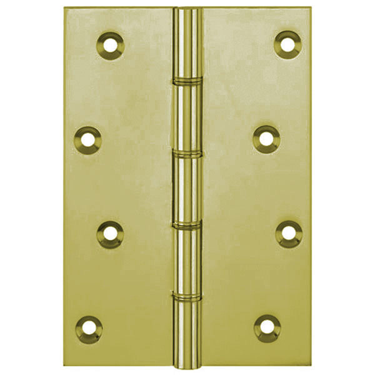DPBW PROJ HINGE 152x100 BRS/SLF