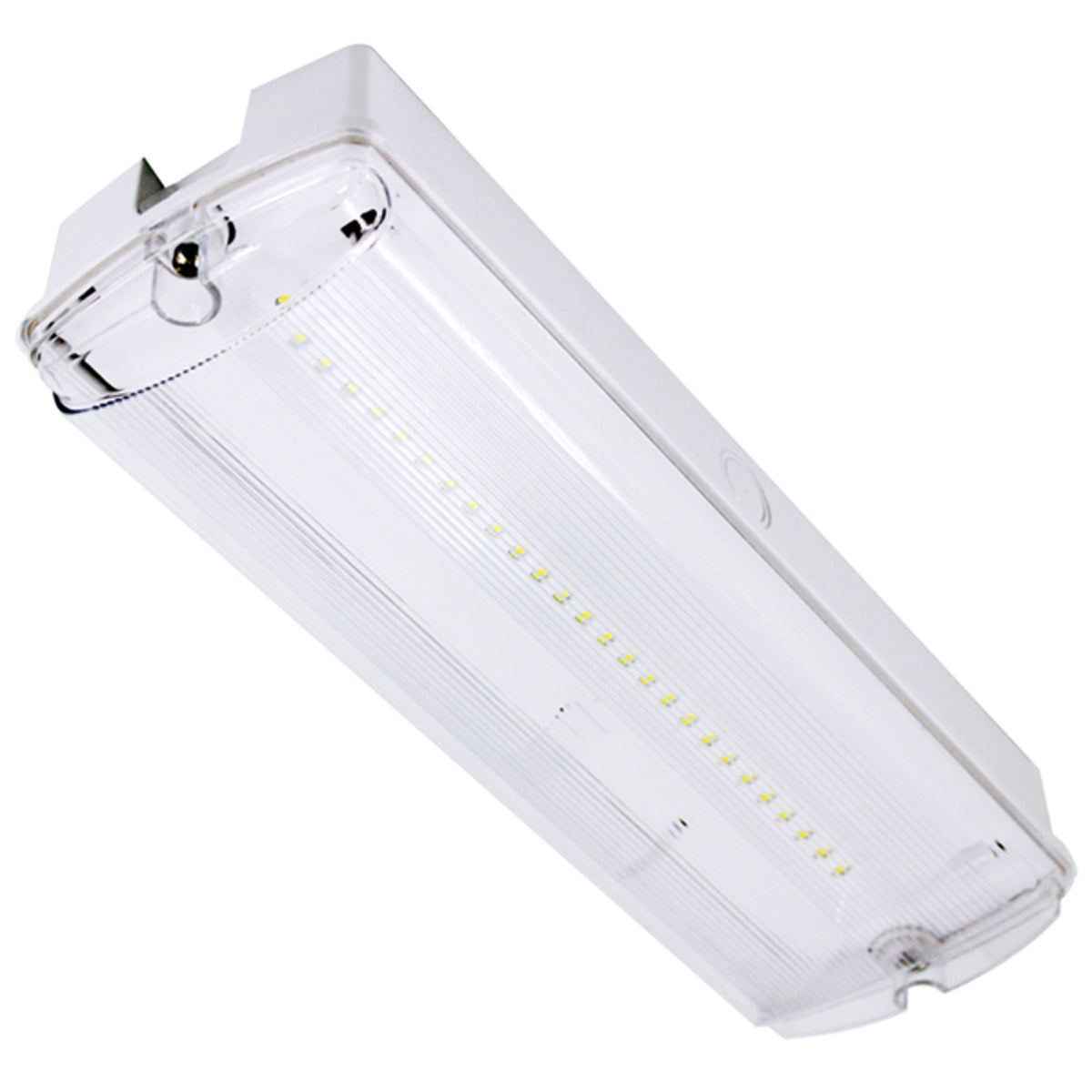 LED 3H MAINTAINED BULKHEAD IP65