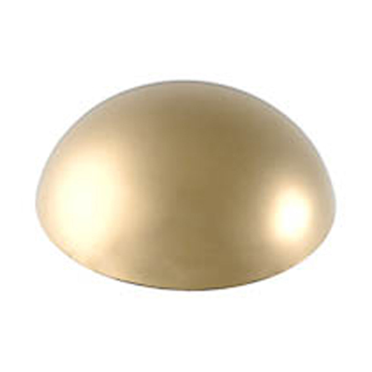 MIRROR HEAD MUSHROOM 5ba D25 PBR