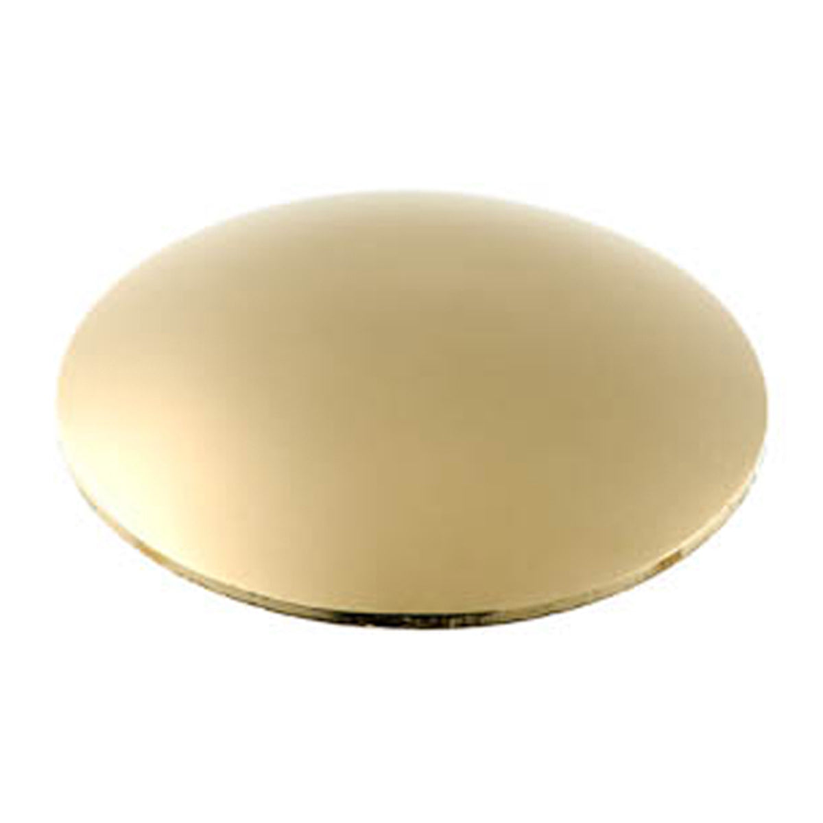 MIRROR HEAD MUSHROOM 5ba D12x4 PBR