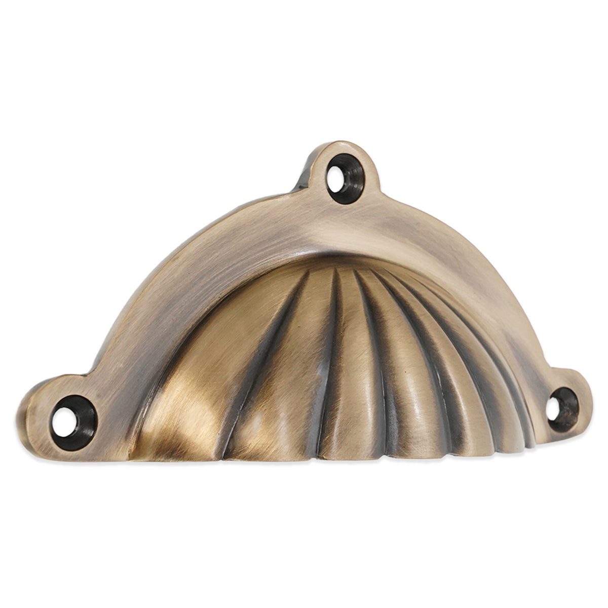 SHELL CUP PULL 20x40x100 ABR by Spira Brass