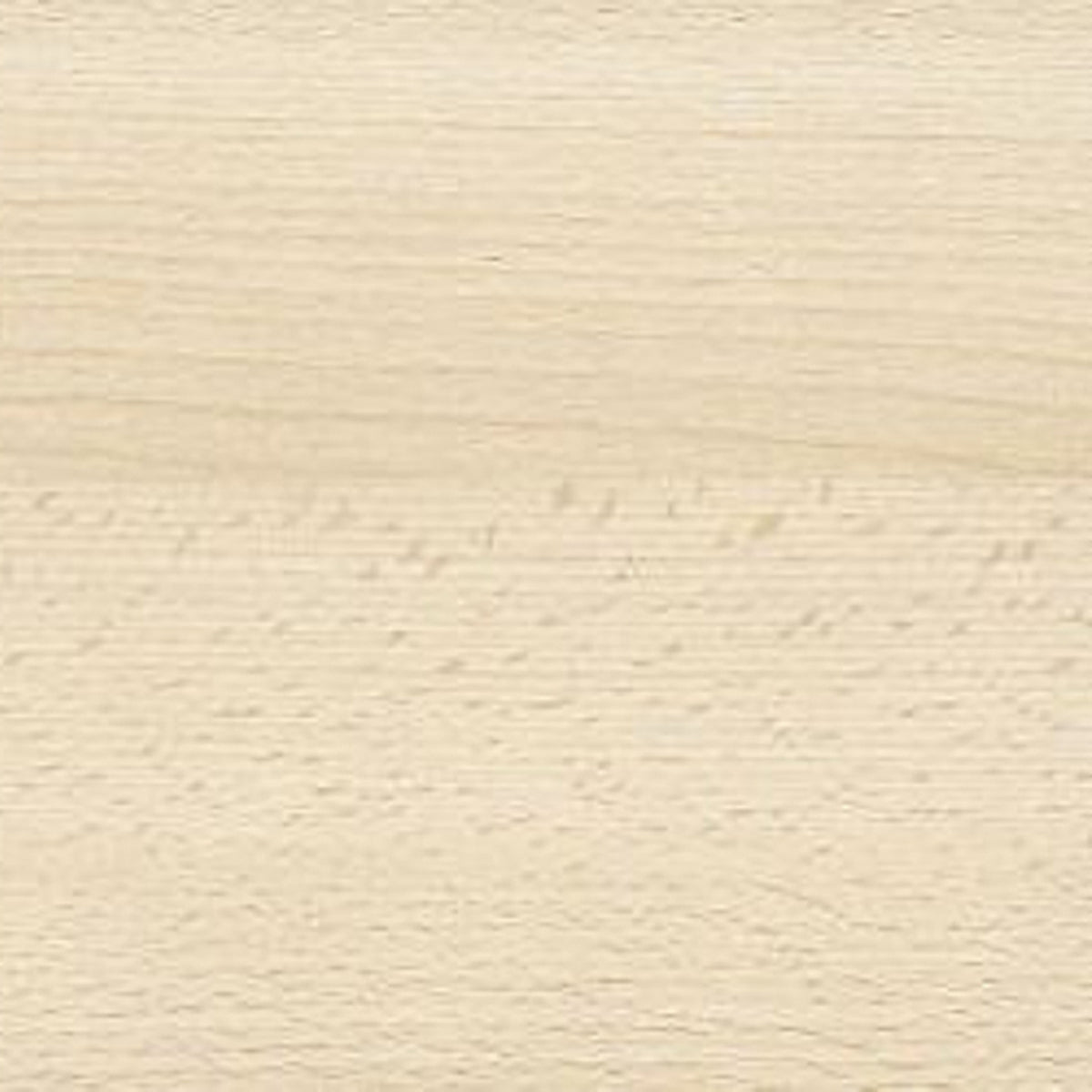 EASIWOOD VENEER 2400x1200 BEECH/WHI by SCHORN & GROH