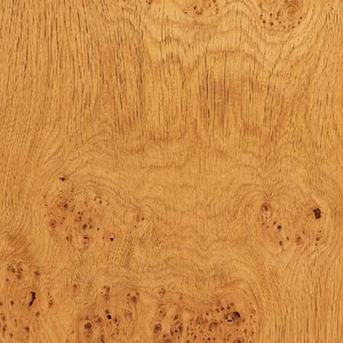 EASIWOOD VENEER 2400x1200 OAK/PIPPY