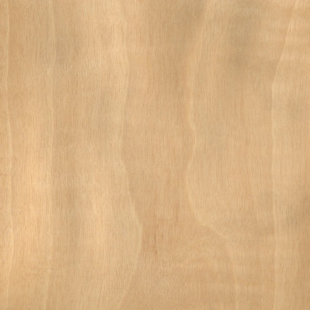VENEER FSHM ANIGRE 25x100m