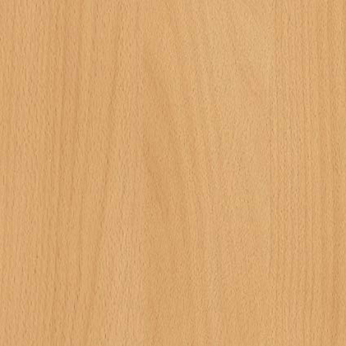 VENEER FSHM BEECH 50x100m