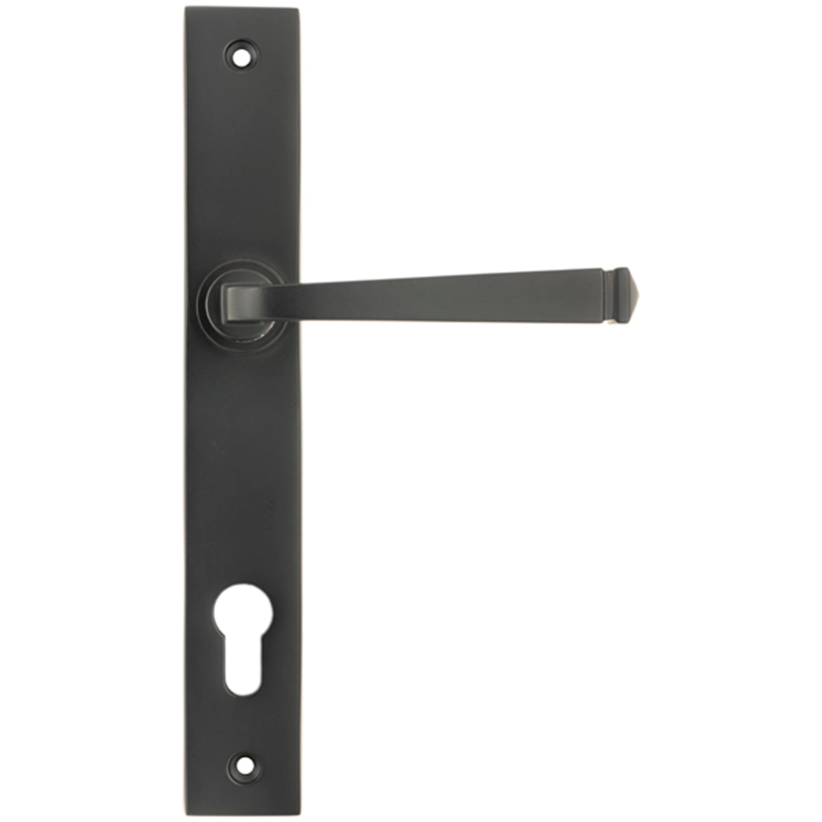 AVON SLIMLINE ESPAGNOLETTE LOCK 118x242x70 AGBZ