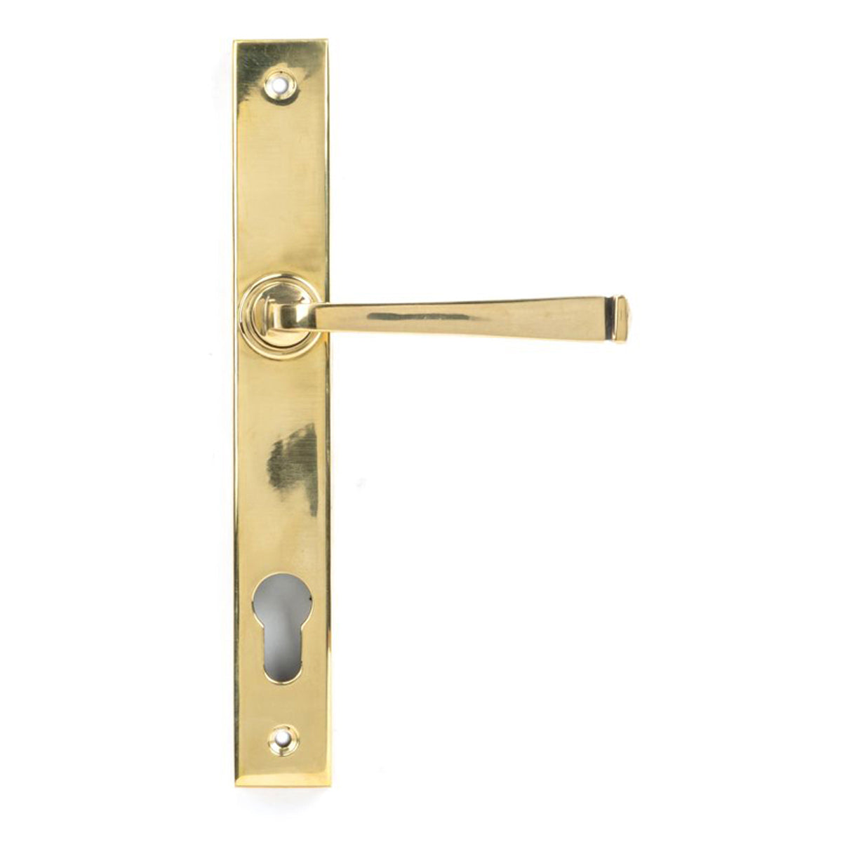 AVON SLIMLINE ESPAGNOLETTE LOCK 118x242x70 AGBR