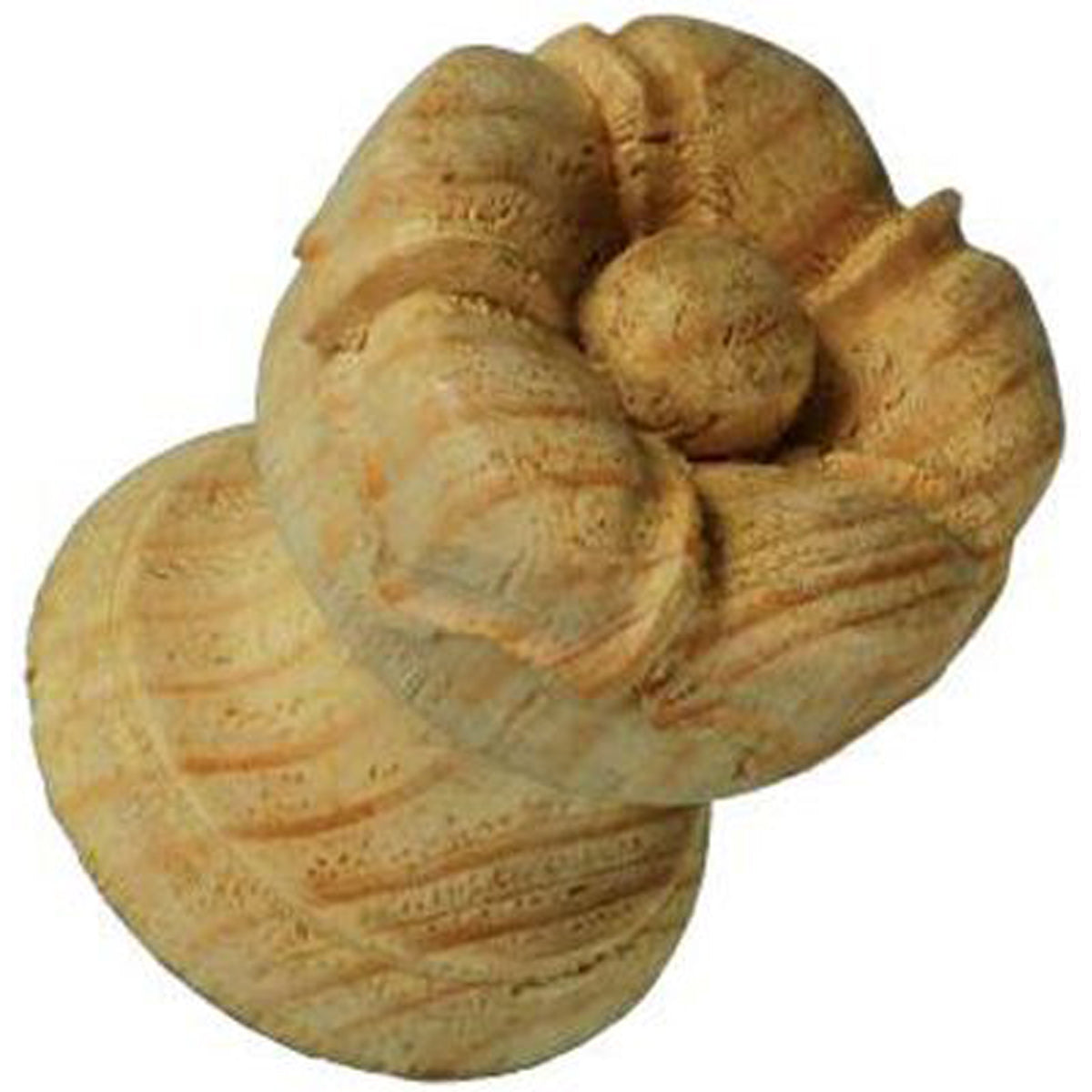 CARVED KNOB+FLOWER MEDIUM