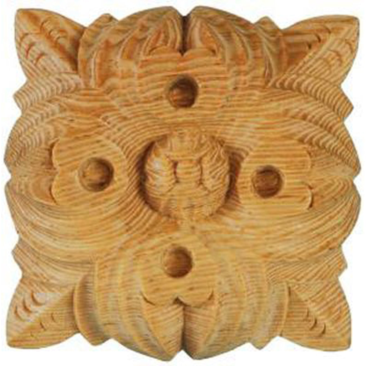 Carved Classical Patera
