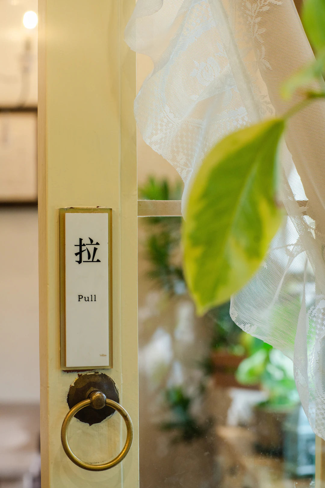 Durable and Stylish Pull Handles for Everyday Use