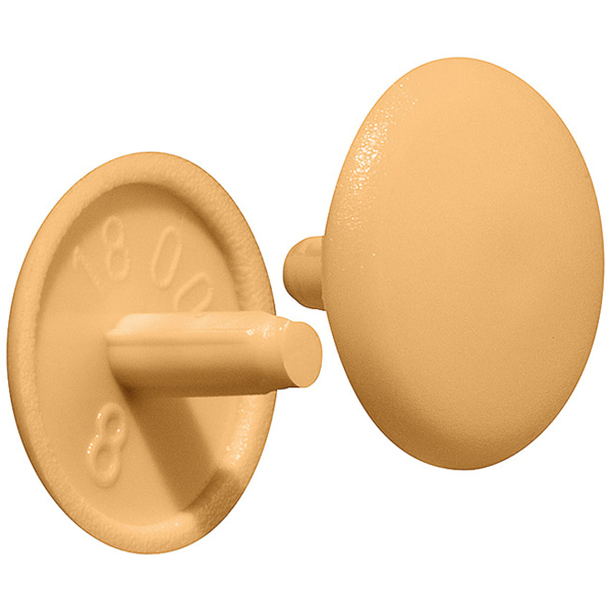 TRIM CAP FOR CS D2.5x12 PINE x500 by HAFELE UK LTD