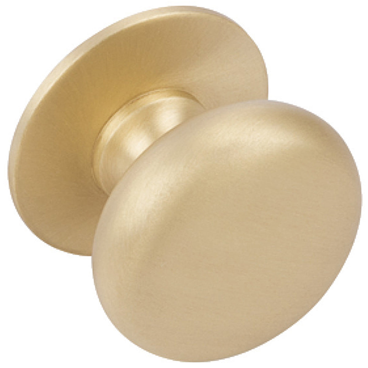 DELIA KNOB D35x28 BBR by HAFELE UK LTD
