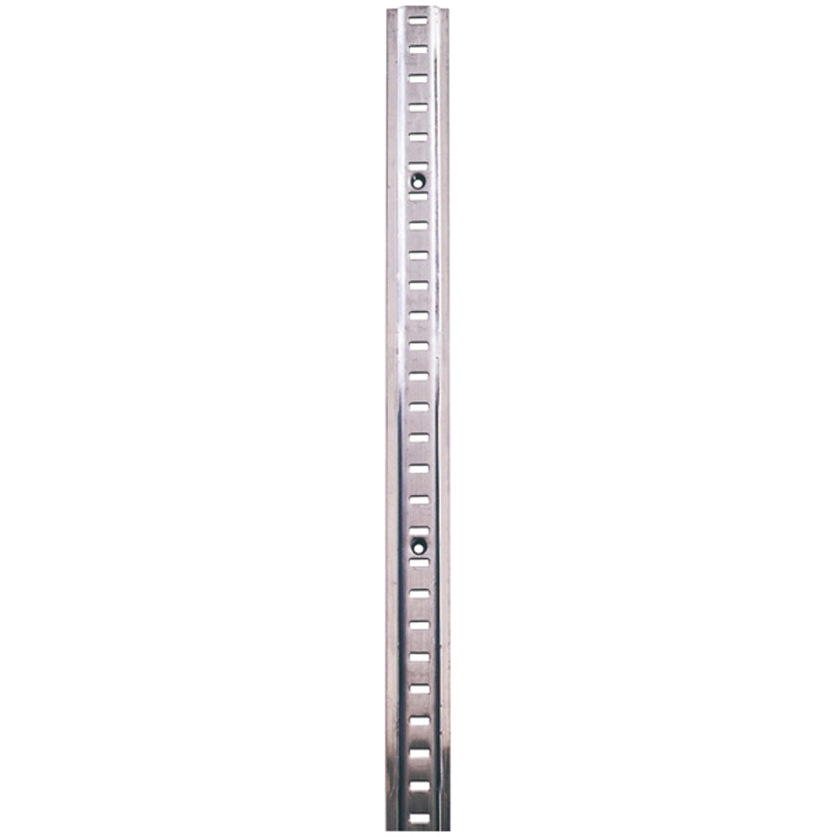 RAISED BOOKCASE STRIP 1829 ST/EBR