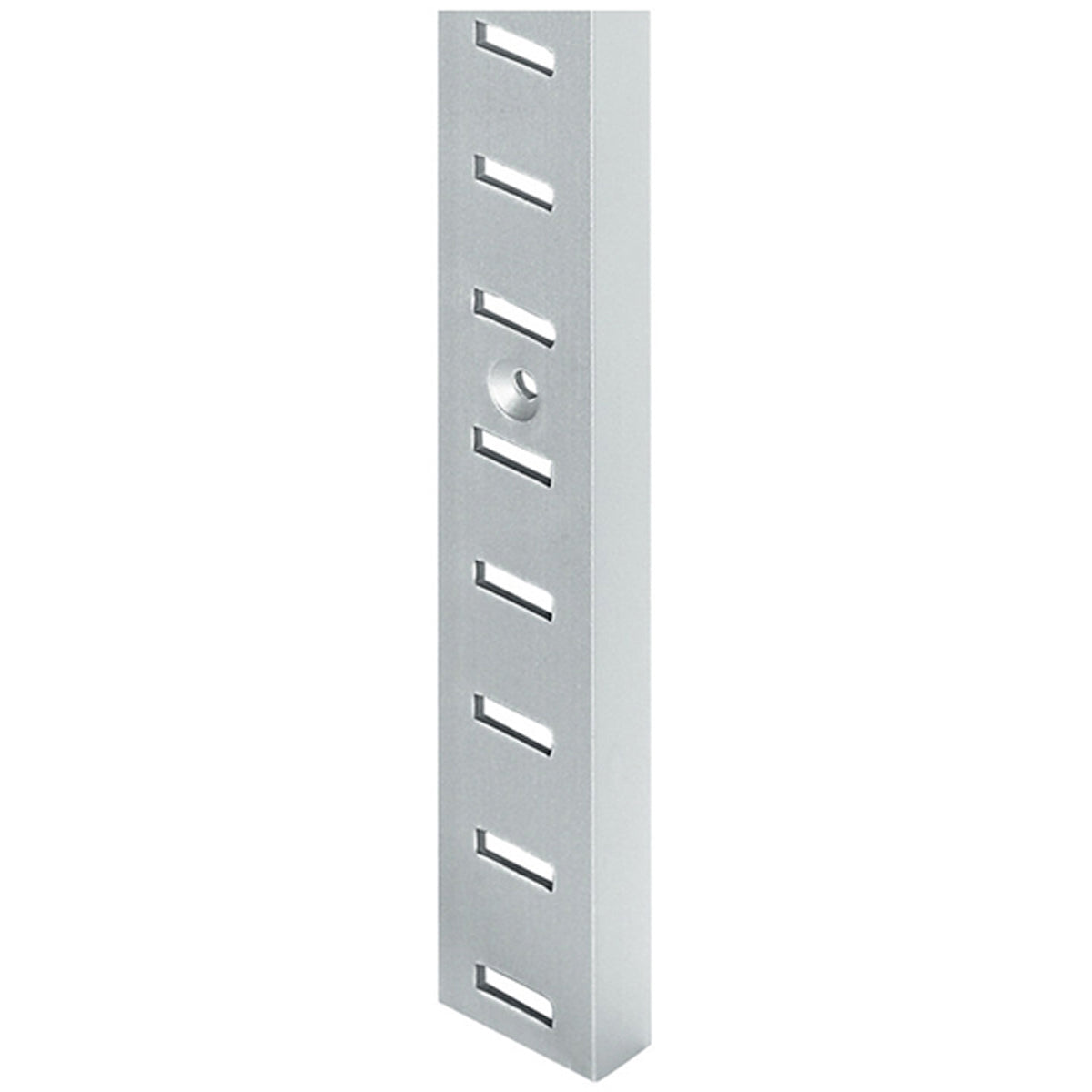SHELF SUPP STRIP SCREW 20x3500 SAA