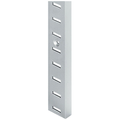 SHELF SUPP STRIP SCREW 20x3500 SAA